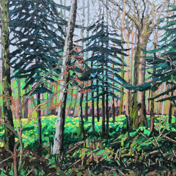 La forêt aux jonquilles