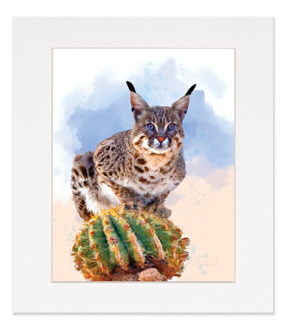BOBCAT ON CACTUS, Nature Art, Watercolor Style Art, Bobcat Print - Etsy