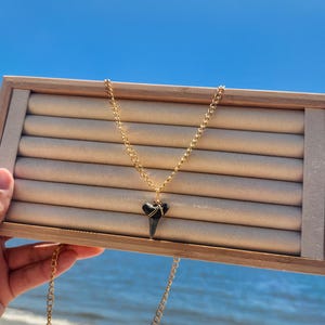Men’s Shark Tooth Pendant Necklace | Gold Chain Fossilized Wire‑Wrapped Tooth | Beach Jewelry