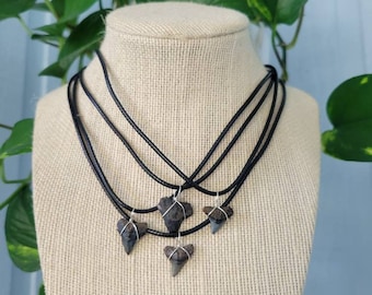 Classic Surfer Shark Tooth Necklace | OBX necklace | Men's shark tooth necklace