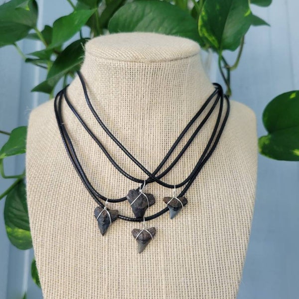 Classic Surfer Shark Tooth Necklace | OBX necklace | Men's shark tooth necklace