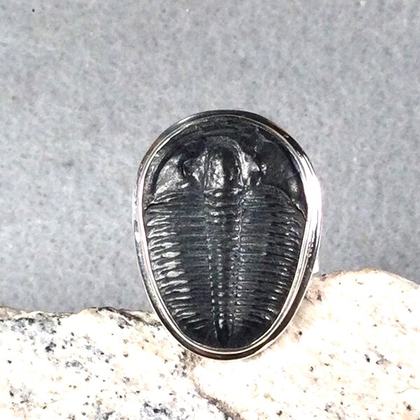 Complete Trilobite Fossil Ring, Size 6.5 in Sterling Silver.