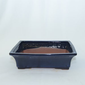 May include: A dark blue rectangular ceramic bonsai pot with a brown interior. The pot has a slightly flared rim and sits on three small feet.