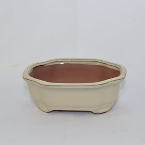May include: A white ceramic bonsai pot with a brown glazed interior. The pot has a rounded rectangular shape with a slightly flared rim and four small feet.