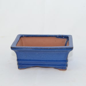 May include: A square blue bonsai pot with a brown clay interior. The pot has a glazed finish and four small feet.