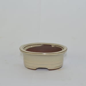 May include: A white oval ceramic bonsai pot with a brown rim and a brown interior. The pot has a slightly rounded bottom with three small feet.
