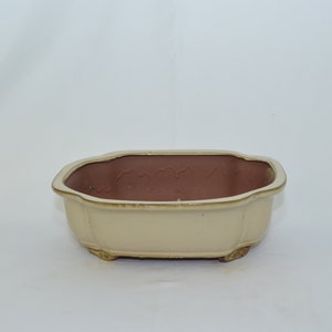 May include: A rectangular ceramic bonsai pot with a light beige glaze and a brown interior. The pot has a slightly scalloped rim and four small feet.