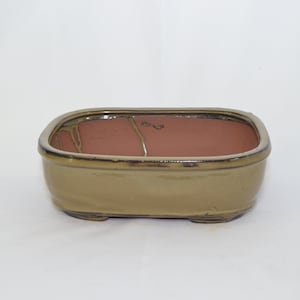 May include: A rectangular bonsai pot with a brown clay interior and a light brown glaze on the exterior. The pot has a slightly rounded shape and four small feet.