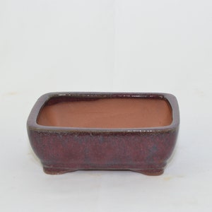 May include: A square, red-brown ceramic bonsai pot with a textured glaze. The pot has a rectangular shape with rounded corners and a slightly raised rim.