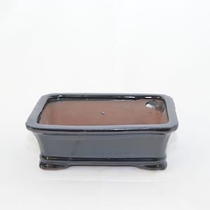 May include: A black rectangular ceramic bonsai pot with a brown interior. The pot has a slightly rounded shape and four small feet.