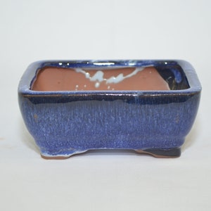 May include: A square blue bonsai pot with a brown clay interior. The pot has a glazed finish and a slightly raised base.