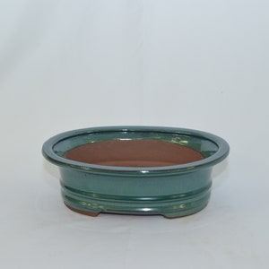 May include: A green oval ceramic bonsai pot with a brown clay interior. The pot has a rounded base and a slightly flared rim.