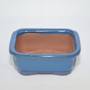 May include: A square blue bonsai pot with a brown clay interior. The pot has a glazed finish and a slightly raised rim.