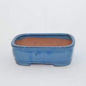 May include: A rectangular blue ceramic bonsai pot with a brown clay interior. The pot has a slightly rounded shape and four small feet.