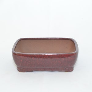 May include: A square, red-brown ceramic bonsai pot with a slightly rounded rim and a textured surface.