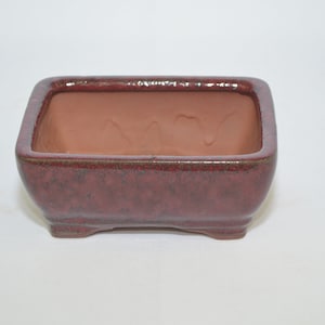 May include: A rectangular bonsai pot with a burgundy glaze. The pot has a square shape with rounded corners and sits on four small feet. The interior is a lighter shade of brown.