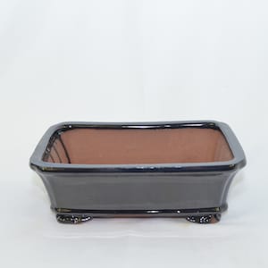 May include: A black rectangular bonsai pot with a brown clay interior. The pot has a glossy finish and four small feet.