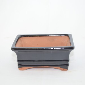 May include: A black glazed rectangular bonsai pot with a terracotta interior. The pot has a slightly flared lip and four small feet.