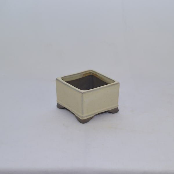 Bonsai MAME pot, hand made from Japanese master , collectable, limited edition.