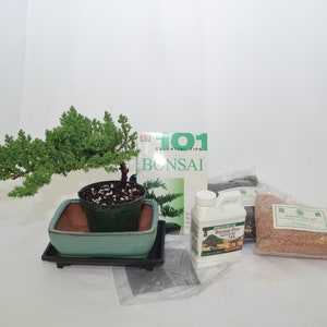 May include: A bonsai tree in a green ceramic pot with a black tray. The tree has green foliage and is in a small pot. The set includes a book titled "101 Essential Tips Bonsai", a bag of soil, a bottle of bonsai fertilizer, and a bag of bonsai soil mix.