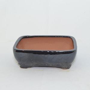 May include: A black rectangular ceramic bonsai pot with a brown interior. The pot has a slightly rounded bottom and a glazed finish.