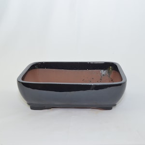 May include: A black rectangular bonsai pot with a brown interior. The pot has a glossy finish and a slightly rounded shape.