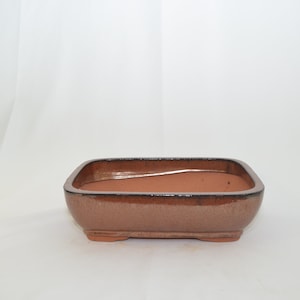 May include: A rectangular brown bonsai pot with a glazed finish. The pot has a slightly rounded bottom and four small feet.