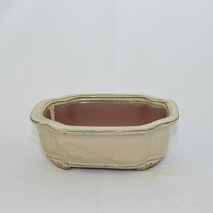 May include: A rectangular, off-white ceramic bonsai pot with a brown glazed interior. The pot has a scalloped rim and three small feet.