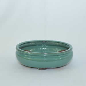 May include: A light green ceramic bonsai pot with a rounded shape and a slightly flared rim. The pot has three small feet on the bottom.