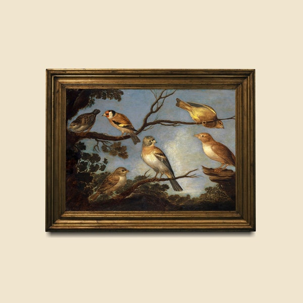 Garden Birds Fine Art Print. 17th Century Oil Painting. Vintage Bird Wall Decor. A2 A3 Archival Giclee Print. Bird Lover Gift.