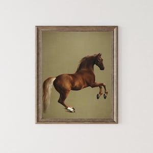 Whistlejacket – George Stubbs | Fine Art Horse Print