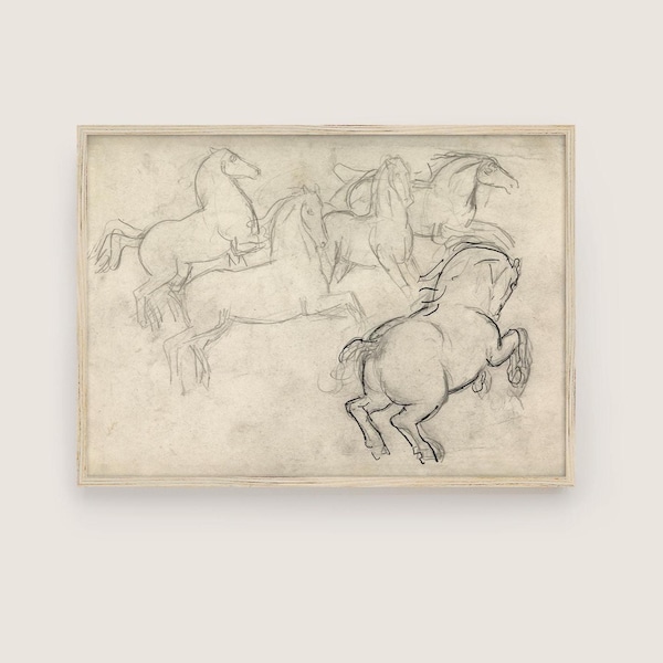 Classical Horse Study Sketch | Antique Equine Drawing | Fine Art Print