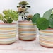 see more listings in the Medium size planters section
