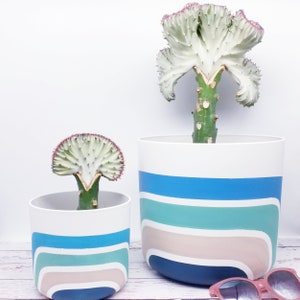 Blue lines plant pots