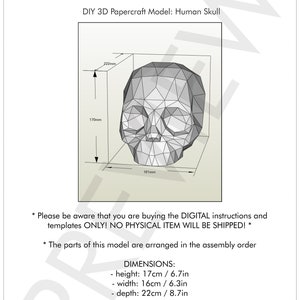 DIY 3D Human Skull Paper Model Skull Paper 3D Low Poly Human - Etsy