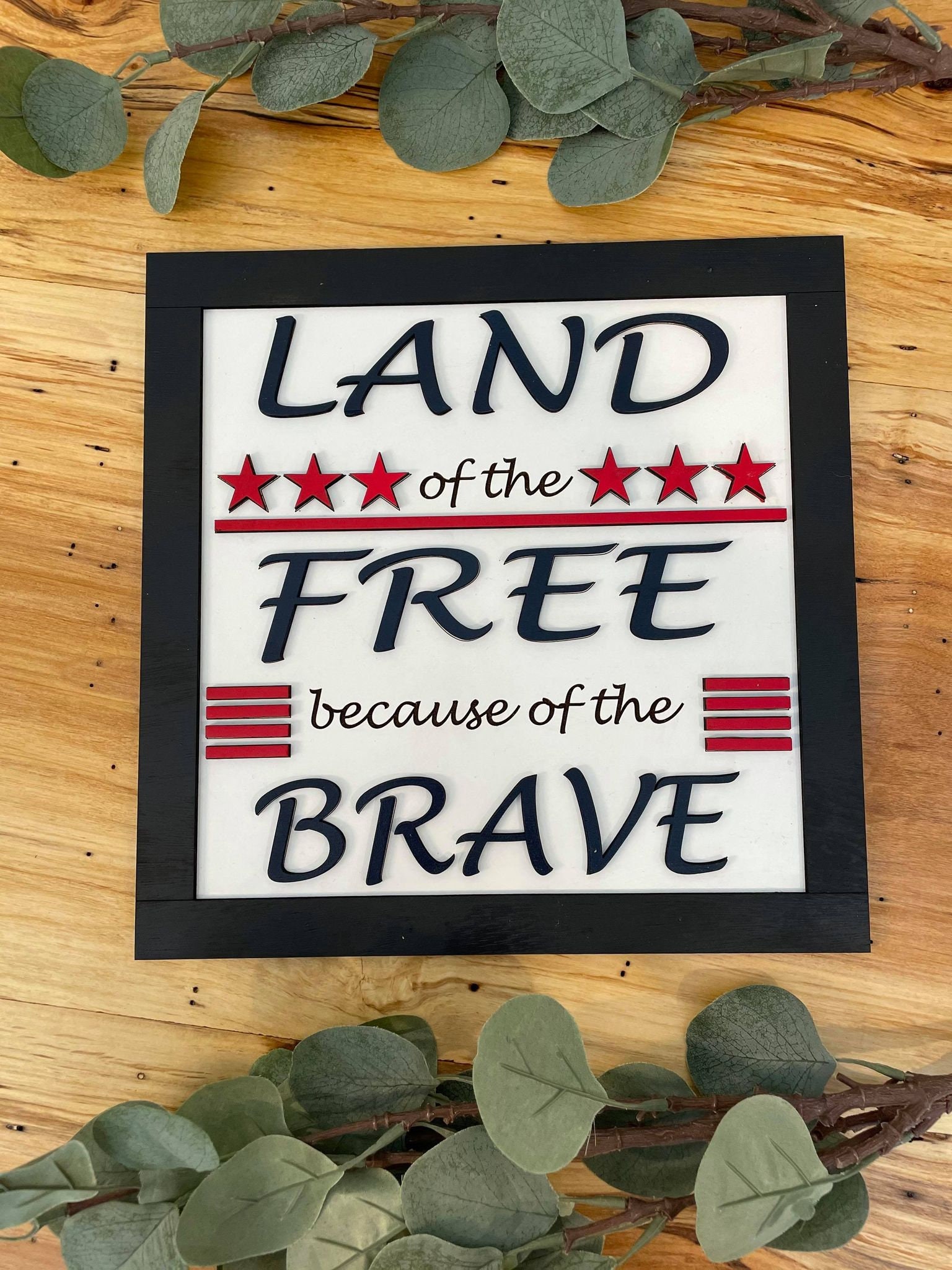land of the free because of the brave veterans day
