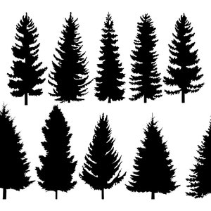 Fascio di silhouette di pino di 10 - file digitale SVG e PNG (sfondo trasparente).