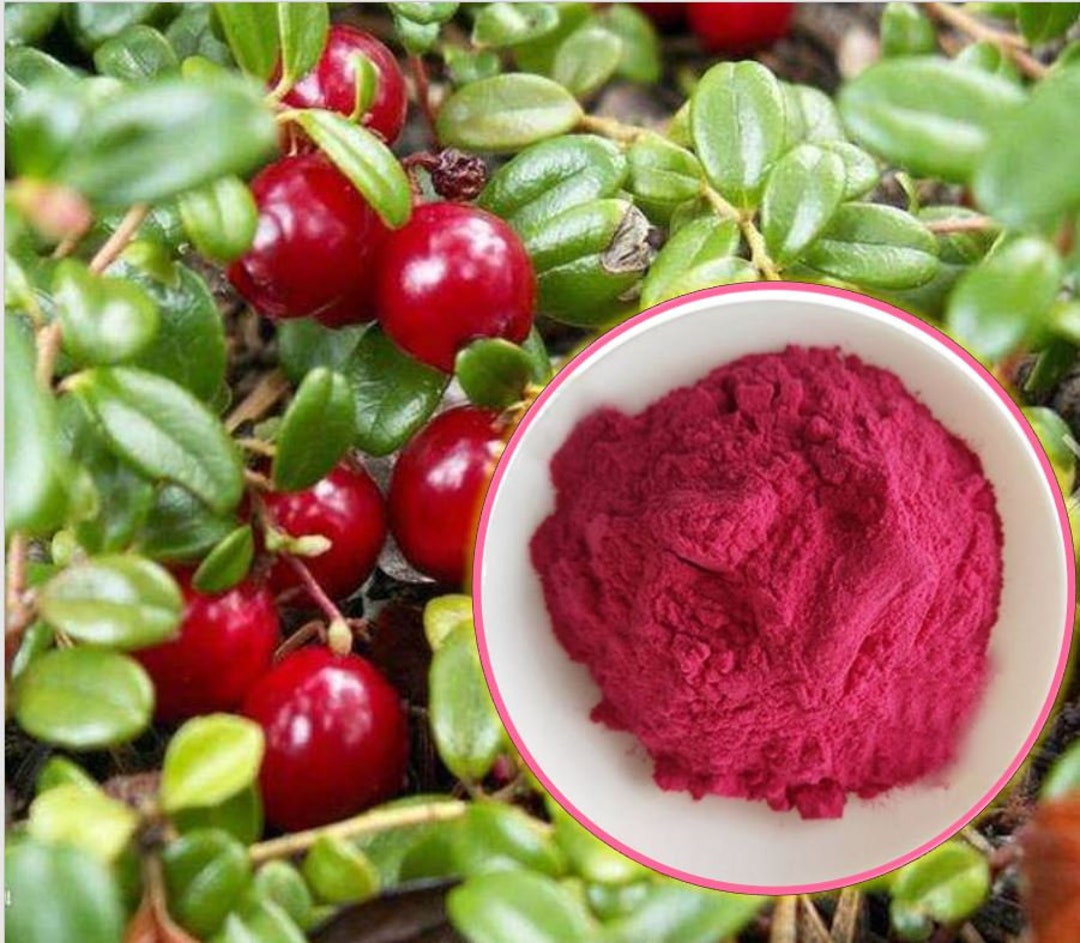 100g. Organice Cranberry Fruit Powder Cranberry Juice Powder Etsy