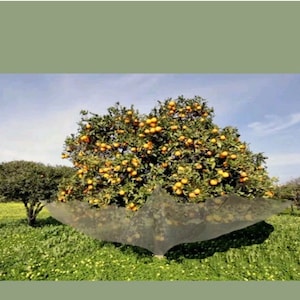 Sale Fruit & Leaves catcher  8&#39;x8&#39; Harvesting , protect your yard lawn, landscaping garden decor design architect