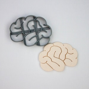 May include: A gray plastic cookie cutter shaped like a brain, next to a white cookie shaped like a brain.