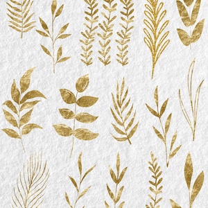 May include: A set of 16 gold leaf botanical illustrations featuring various leaves and branches. The illustrations are hand-drawn and have a delicate, elegant style.