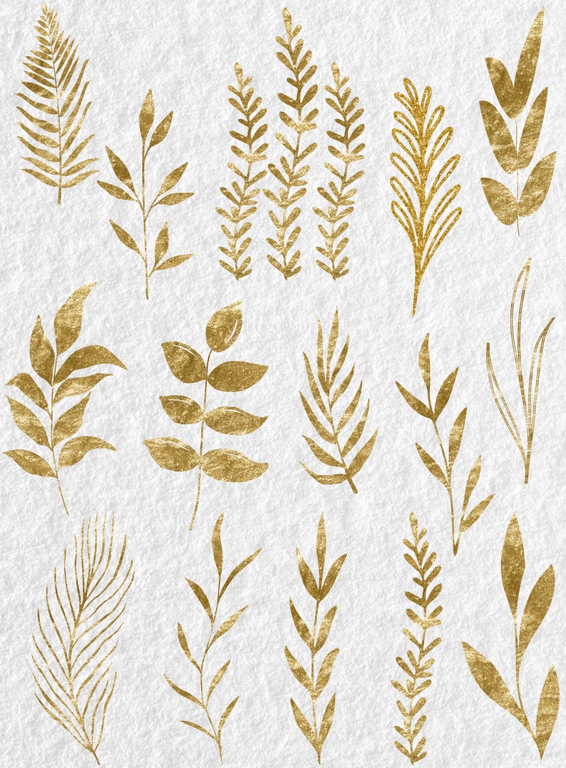 May include: A set of 16 gold leaf botanical illustrations featuring various leaves and branches. The illustrations are hand-drawn and have a delicate, elegant style.