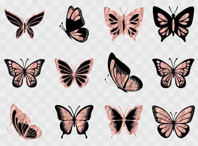 Puede incluir: Doce mariposas negras y doradas con intrincados patrones de alas. Las mariposas est&aacute;n dispuestas en una cuadr&iacute;cula sobre un fondo transparente.