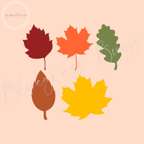 Fall Leaves SVG, Autumn Leaves Png, Digital Download, Cricut, Silhouette Cut File