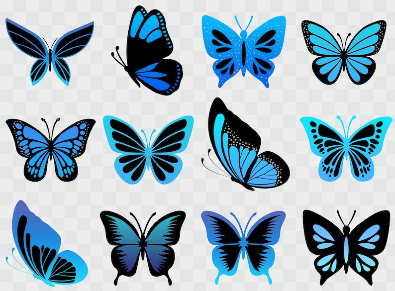 May include: A set of twelve blue and black butterfly illustrations. The butterflies are in various poses with their wings spread open.