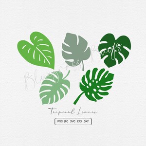 prints Leaf Digital Download for invitation collage 1396 Vintage Clipart Leaves Clip art