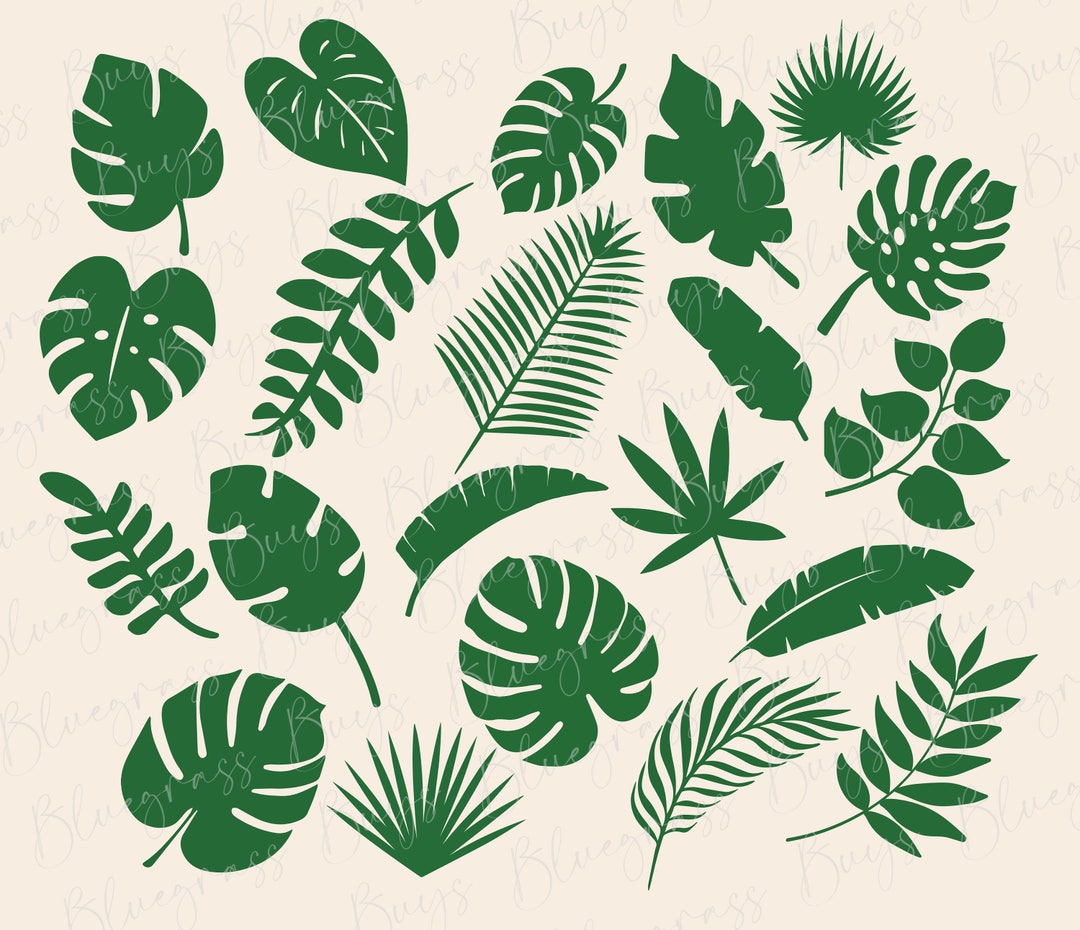 Tropical Leaves Svg Bundle, Monstera Leaf Svg, Jungle Leaves Clipart ...