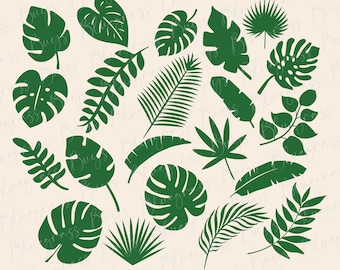 Bundle svg de feuilles tropicales, svg de feuille de monstera, clipart de feuilles de jungle, svg de branche de palmier, téléchargement numérique