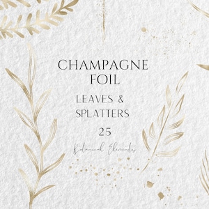 Champagnefoliebladeren PNG - gouden botanische elementen - blad Clipart