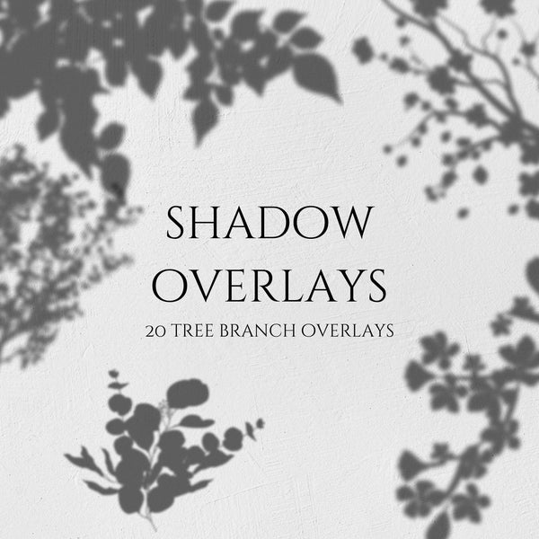 Tree Branch Shadow Overlays, Plant Shadows PNG, Photo Overlays